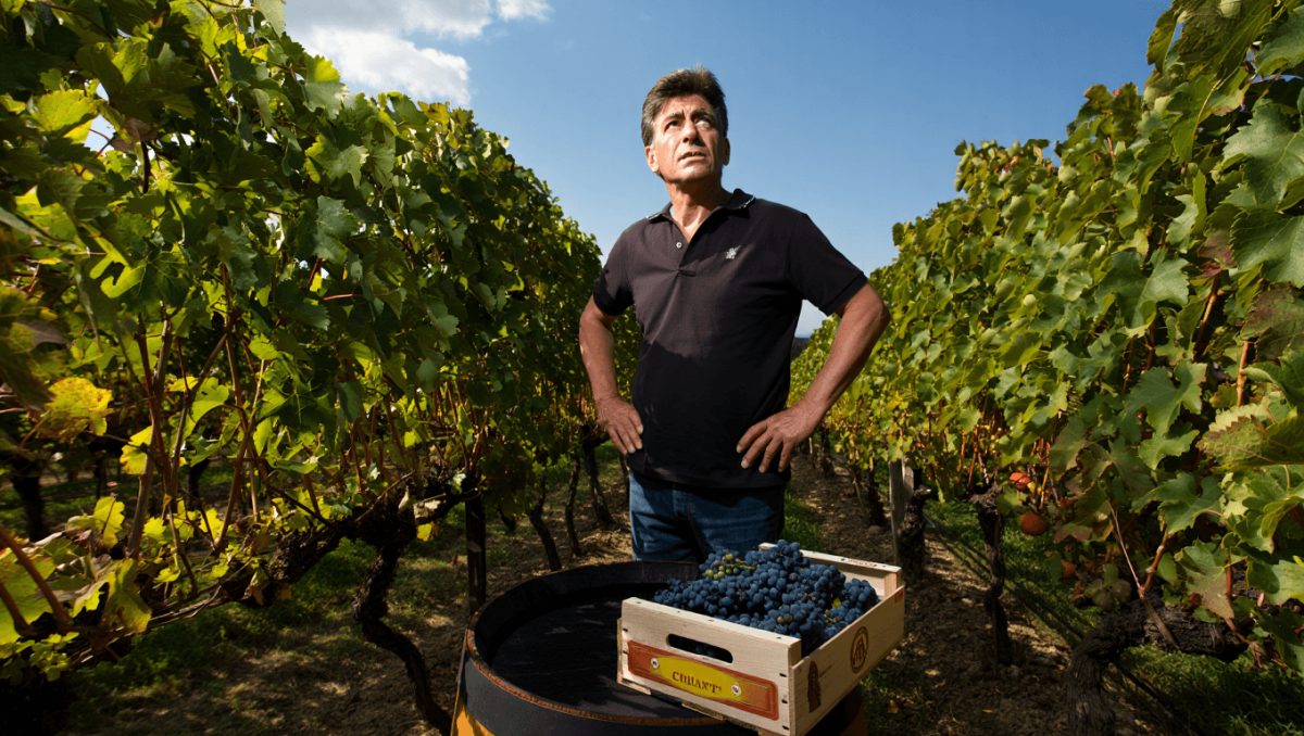 Chianti Classico : Au cœur de la Toscane