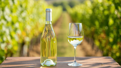 a woman pouring a glass of wine into a wine glass