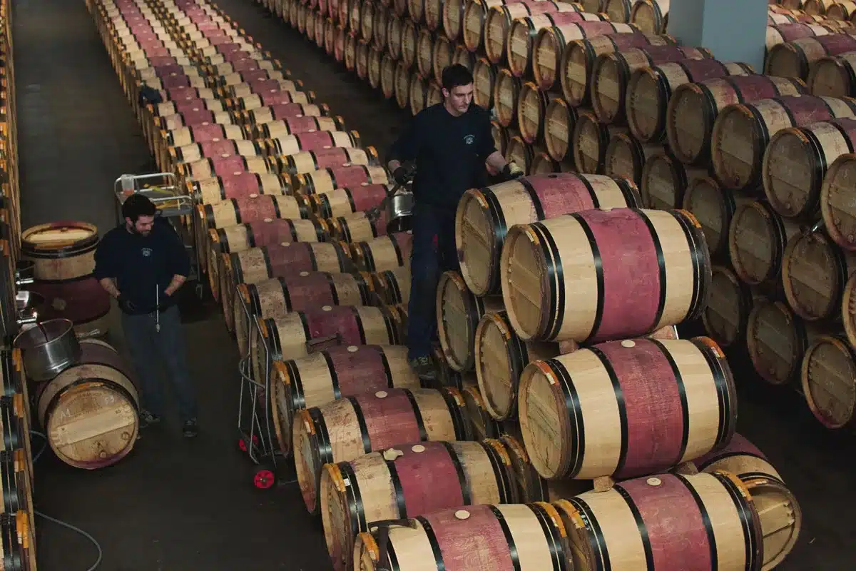 Processus de fermentation et d'&eacute;levage du Barolo en f&ucirc;ts de ch&ecirc;ne