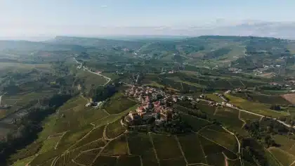 Vignobles en terrasses du Piémont avec collines calcaires sous lumière d'automne