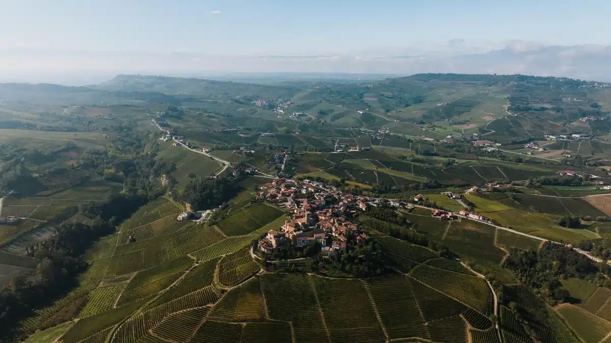 Vignobles en terrasses du Piémont avec collines calcaires sous lumière d'automne