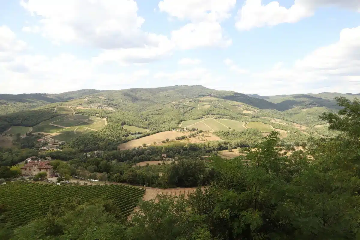 Route vallonnée en Toscane avec vignobles et paysages viticoles