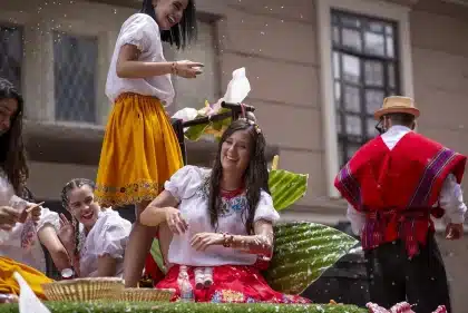 Fleurs de mimosa offertes en symbole de solidarité pour la journée des droits des femmes