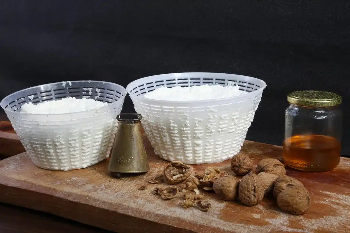 Cuve de fabrication avec petit-lait chauffé pour former la ricotta