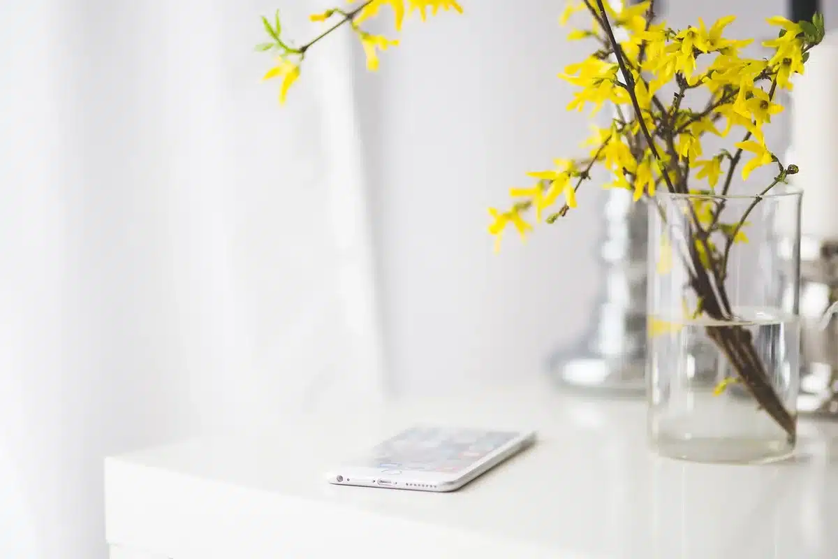 Smartphone montrant une checklist de recette à côté d'ingrédients